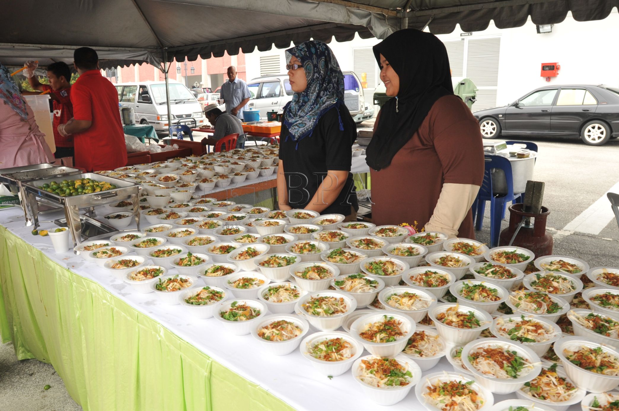 BPA 12 110 APC PRO 5438